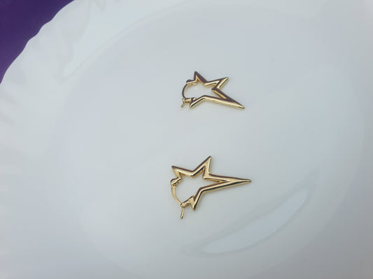 GOLD EARRING M GG C1 X
