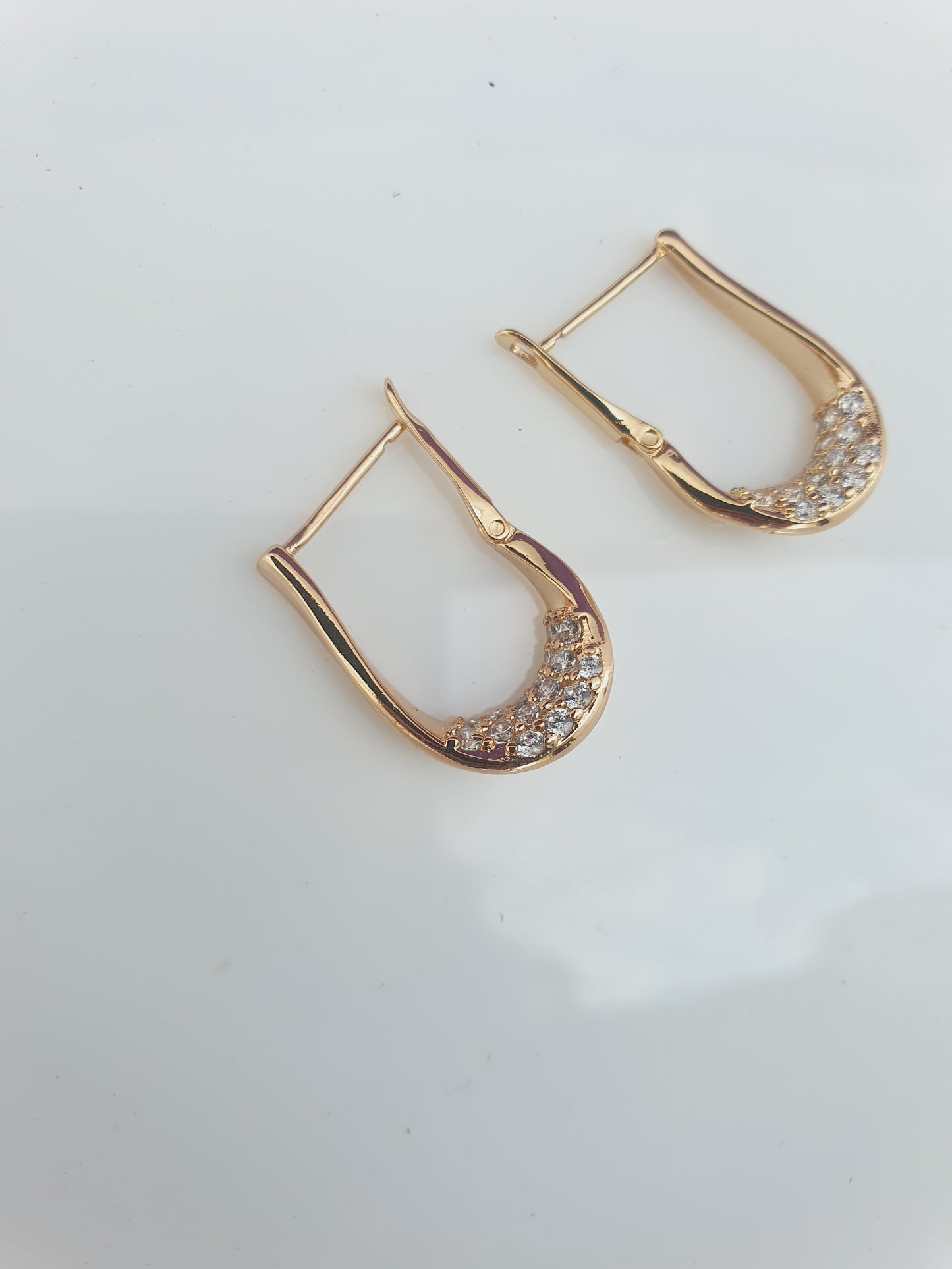 ROSEGOLD EARRING L BX X