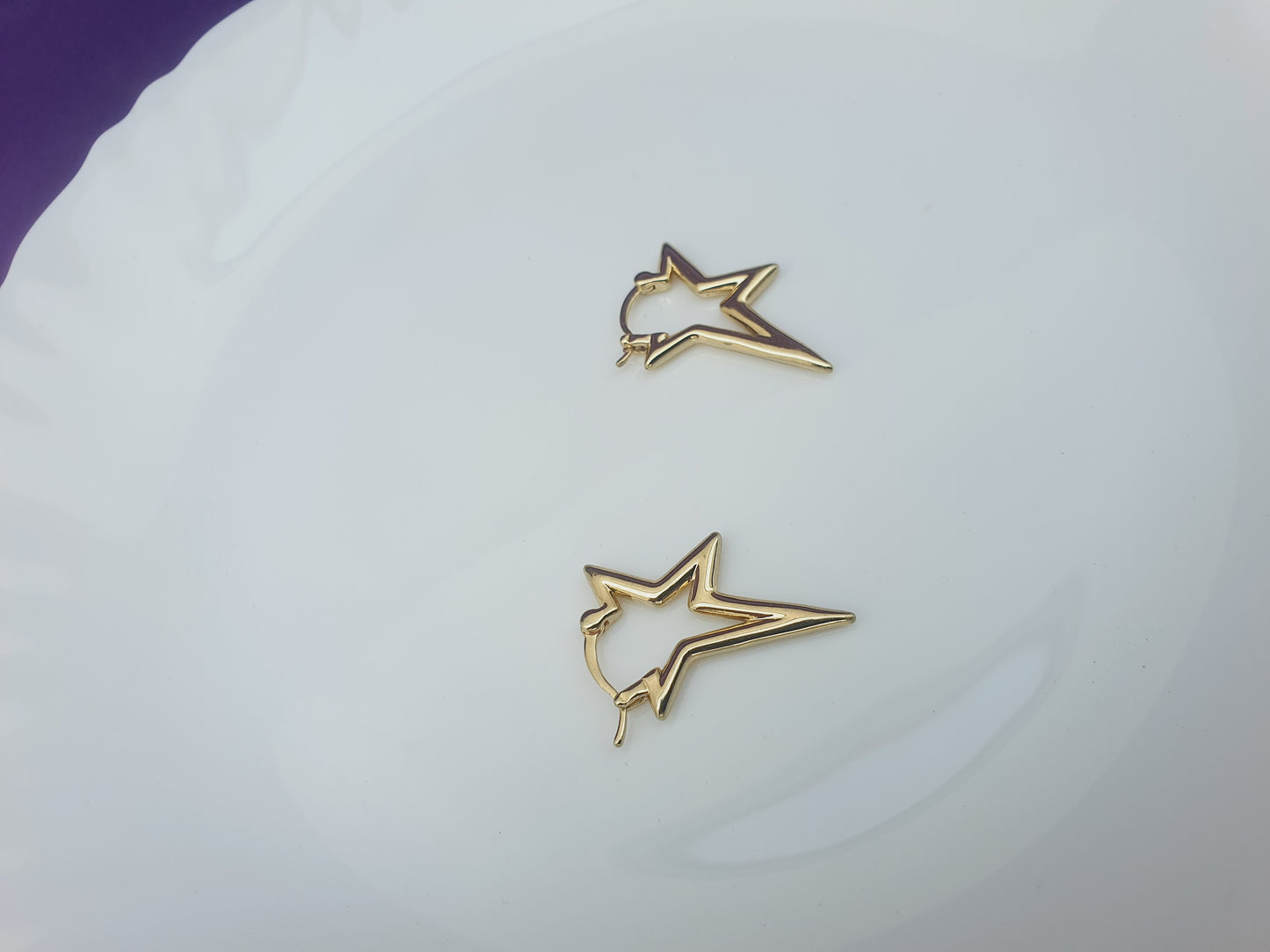 GOLD EARRING M GG C1 X