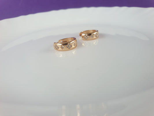 ROSEGOLD EARRING RG R2 X