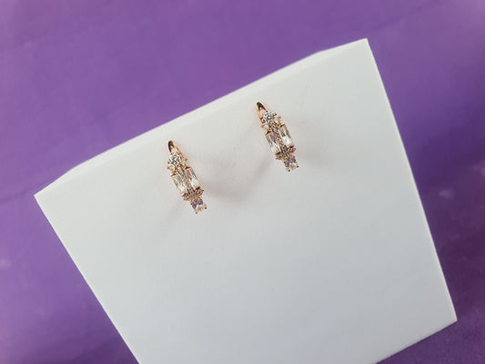 ROSEGOLD EARRING RS R2 X