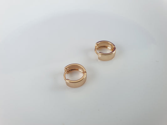 ROSEGOLD EARRING RZ R2 X