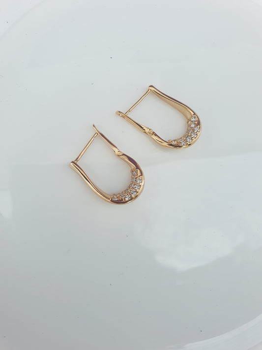 ROSEGOLD EARRING L BX X