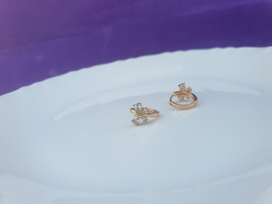 ROSEGOLD EARRING G BX X