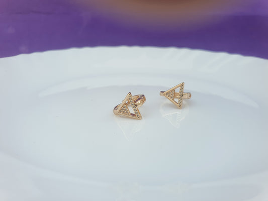 ROSEGOLD EARRING 2N BX X