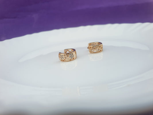 ROSEGOLD EARRING 2B BX X