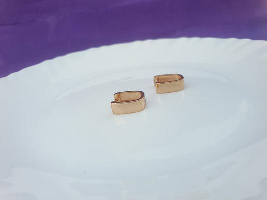 ROSEGOLD EARRING I R1 X