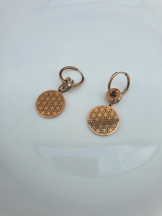 ROSEGOLD EARRING G2 R1 X