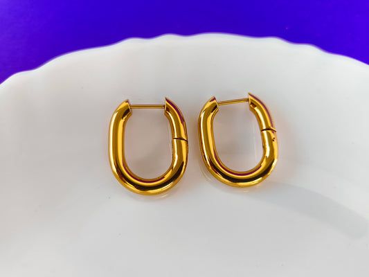 GOLD EARRING OO G T2 X