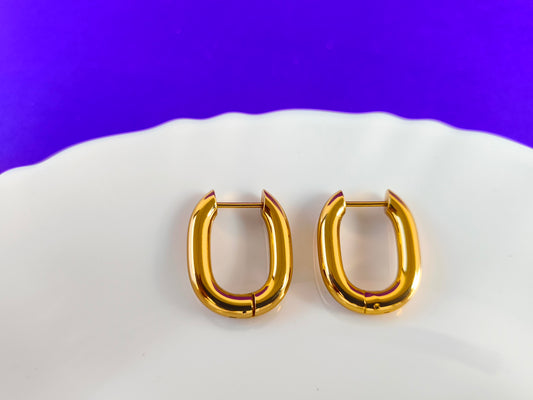 GOLD EARRING NN G T2 X
