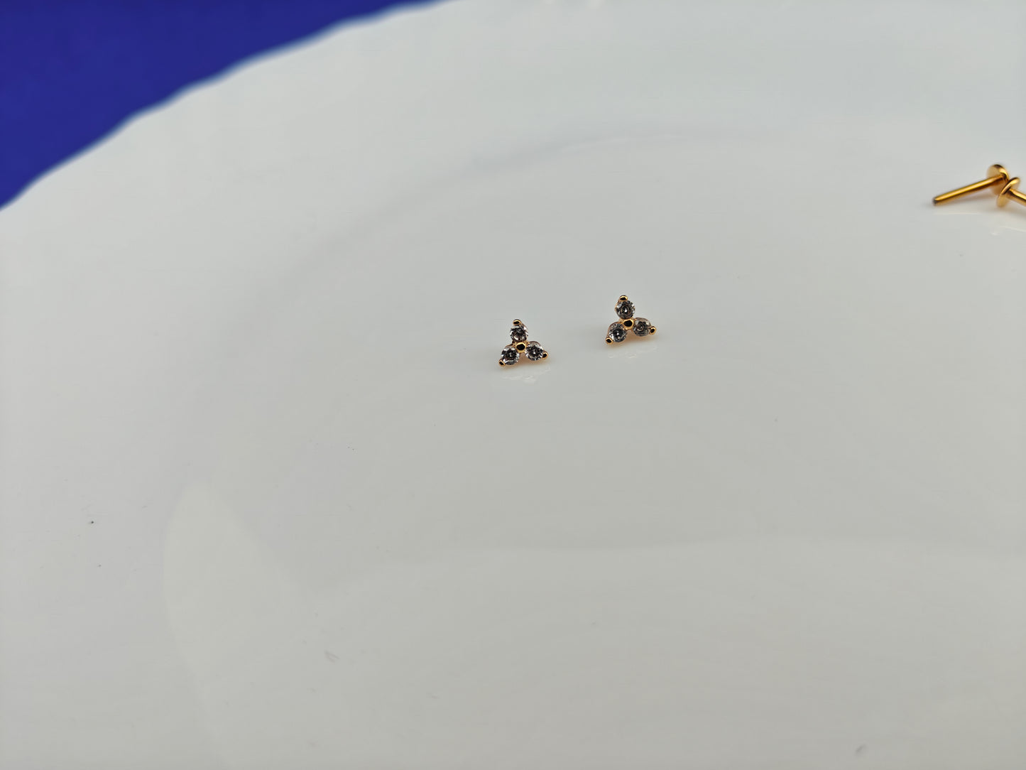 SCREW TYPE EARRINGS ANTI TARNISH AS 2