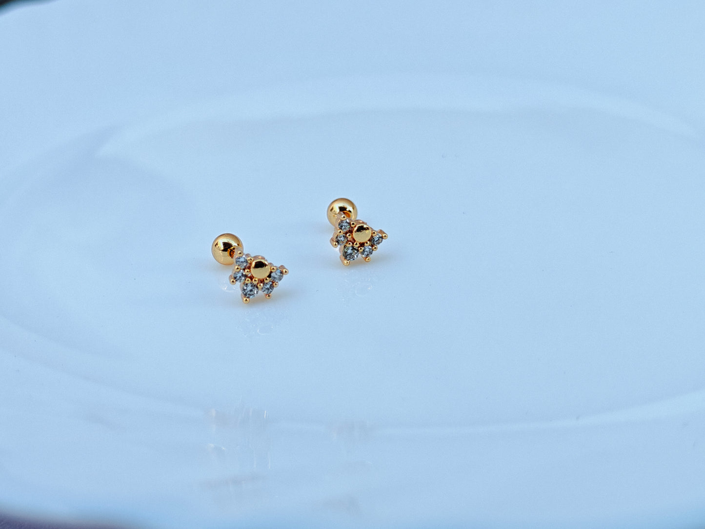SCREW TYPE GOLD EARRINGS ANTI TARNISH AS 4.