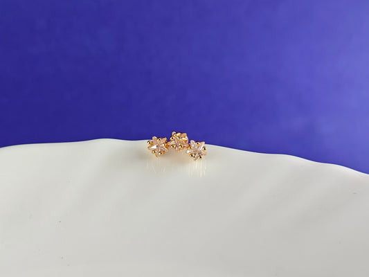 SCREW TYPE GOLD EARRINGS ANTI TARNISH