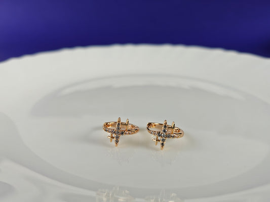 ROSEGOLD EARRING 5D BT1 X