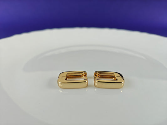 GOLD EARRING  8E T7 X
