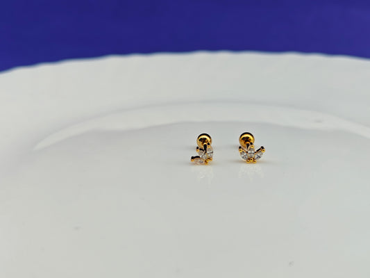 SCREW TYPE EARRINGS ANTI TARNISH AS 5