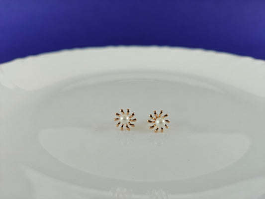 ROSEGOLD EARRING 6R BT2 X
