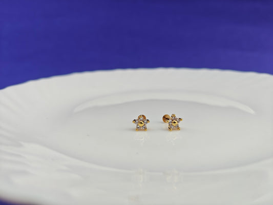 SCREW TYPE EARRINGS ANTI TARNISH AS 1