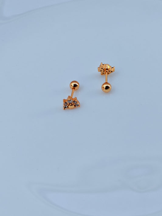 SCREW TYPE GOLD EARRINGS ANTI TARNISH AS 4.